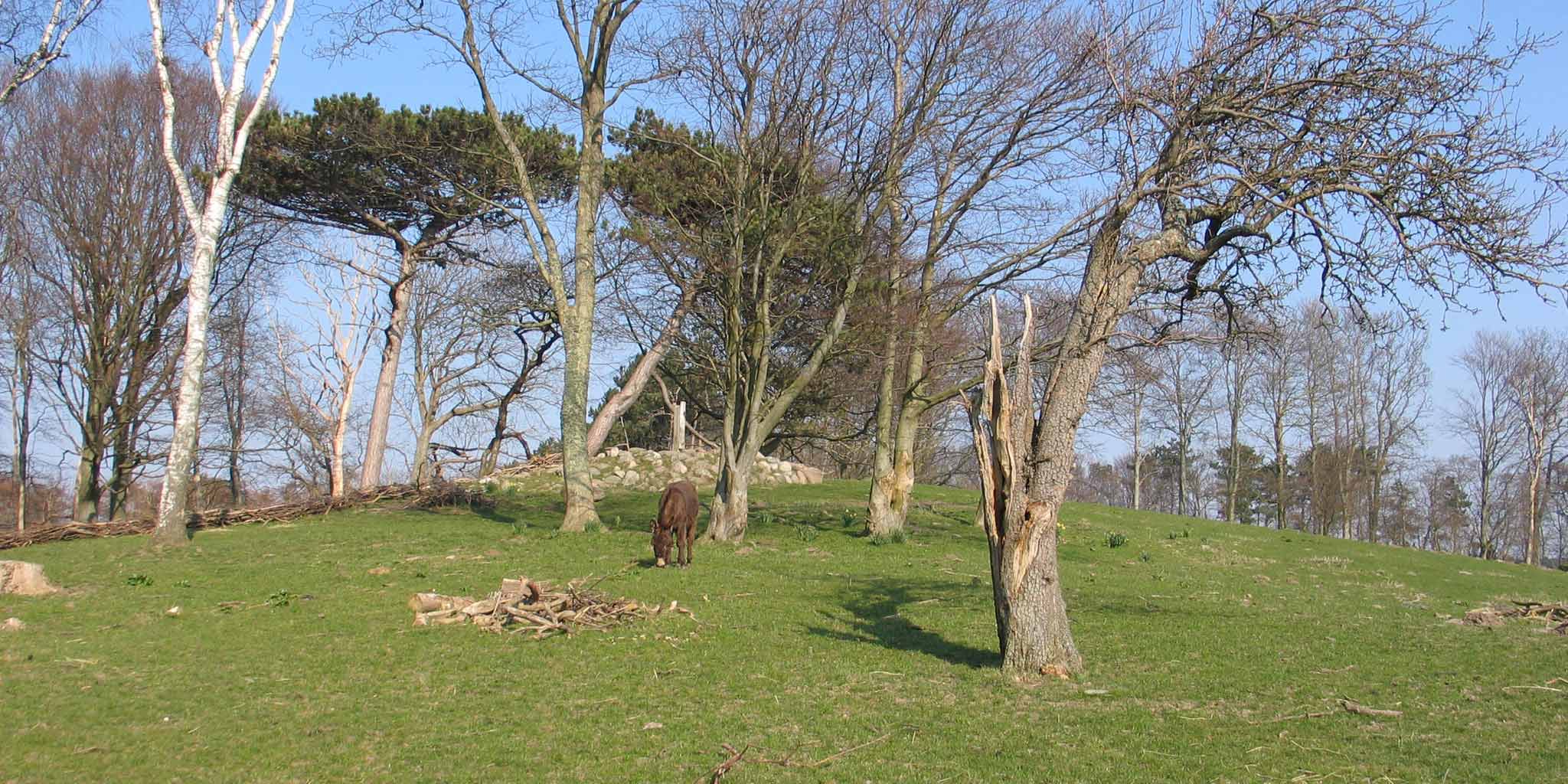 Røsnæs naturskole