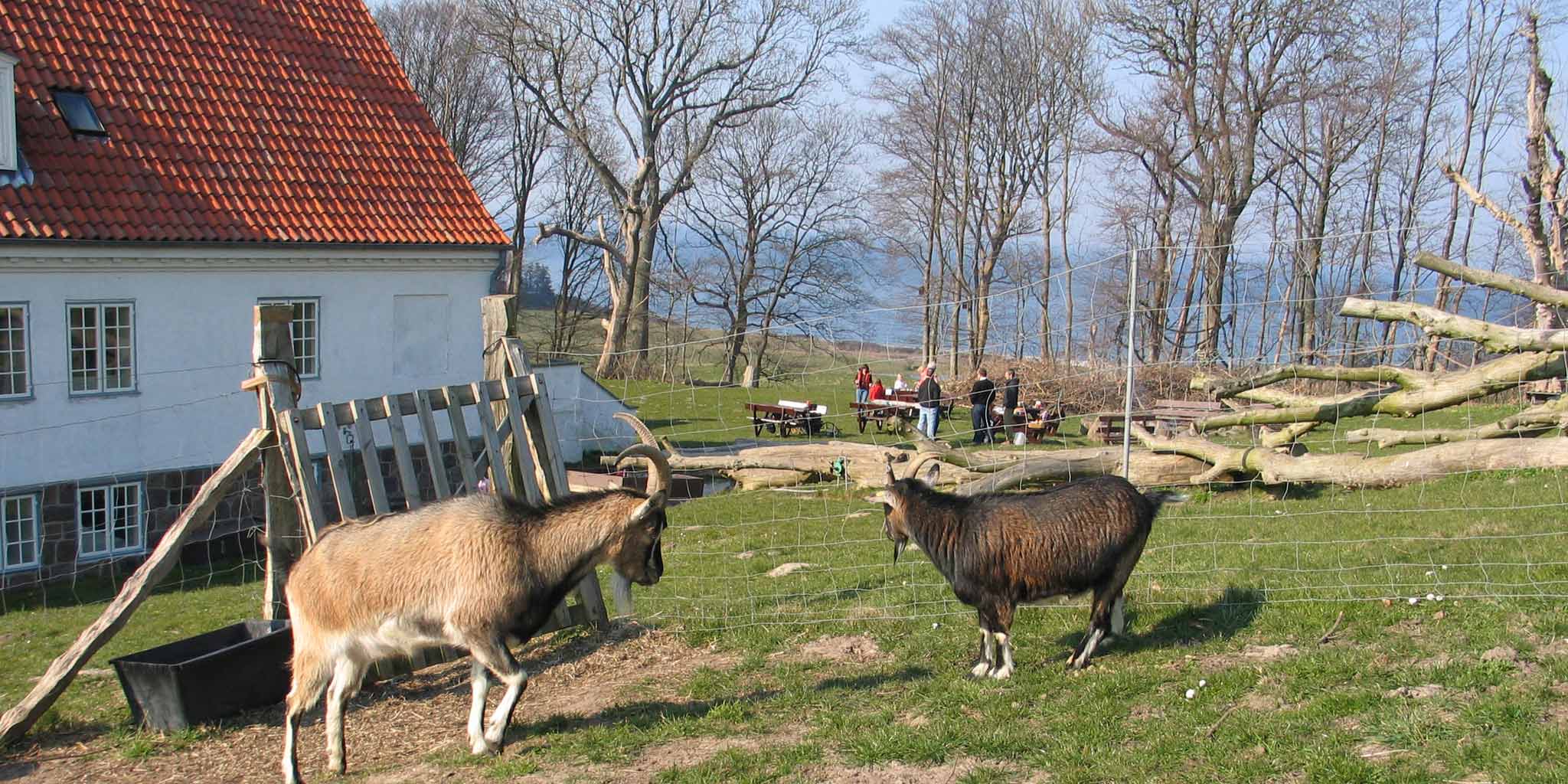 Røsnæs Naturskole