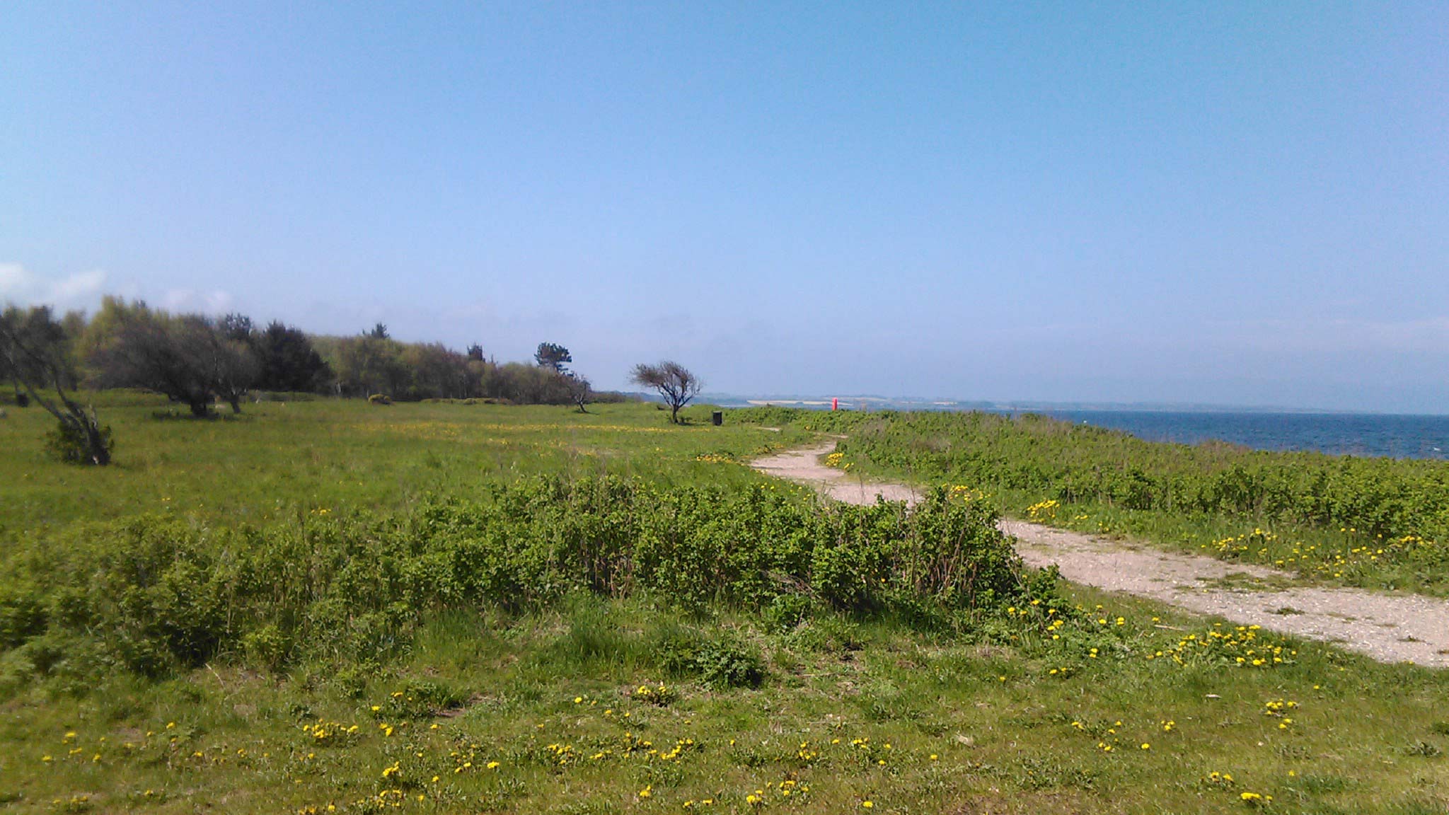 Saltbæk