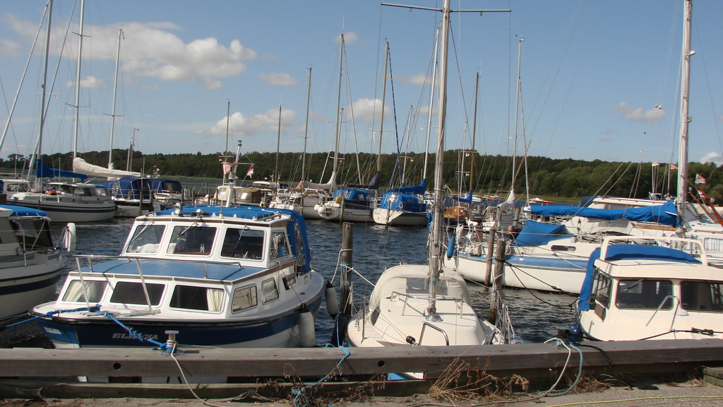 Bisseruphavn2