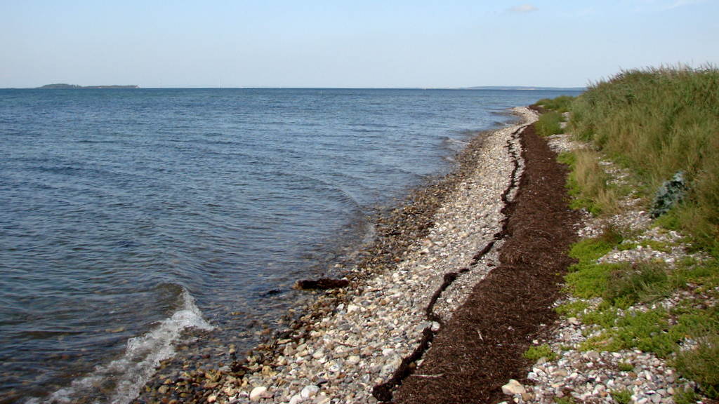 Kystfiskeri Stigsnaes 02