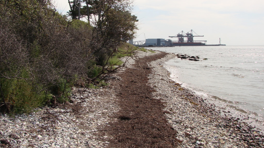 Kystfiskeri Stigsnaes 03