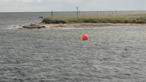 Kystfiskeri Bisserup Strand