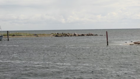 Kystfiskeri Bisserup Strand