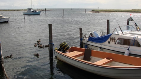 Kystfiskeri Bisserup Strand