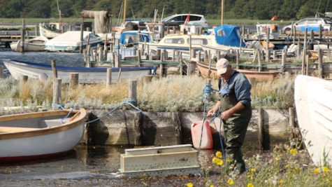 Kystfiskeri Bisserup Strand