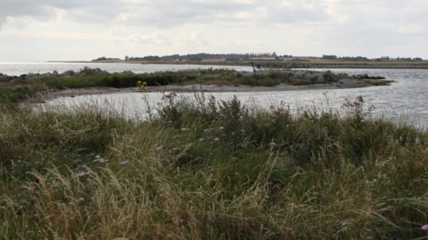 Kystfiskeri Bisserup Strand