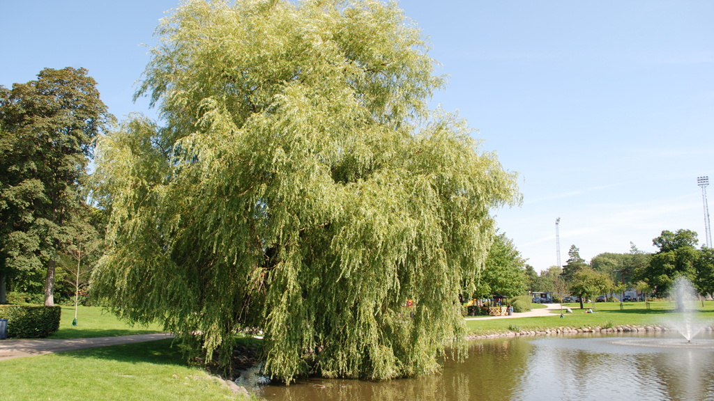 Slagelse Lystanlaeg 03
