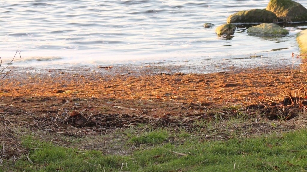 04 | Loading & break point