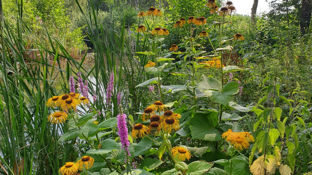 Munkebo MultiPark Shelters