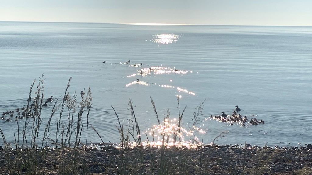 View from Bøgebjerg Beach