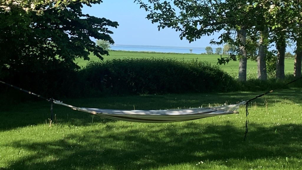 View from the garden