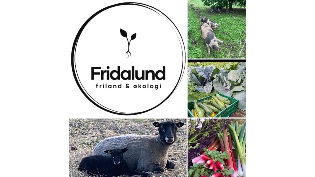 Fridalund, økologisk landbrug ved Kerteminde