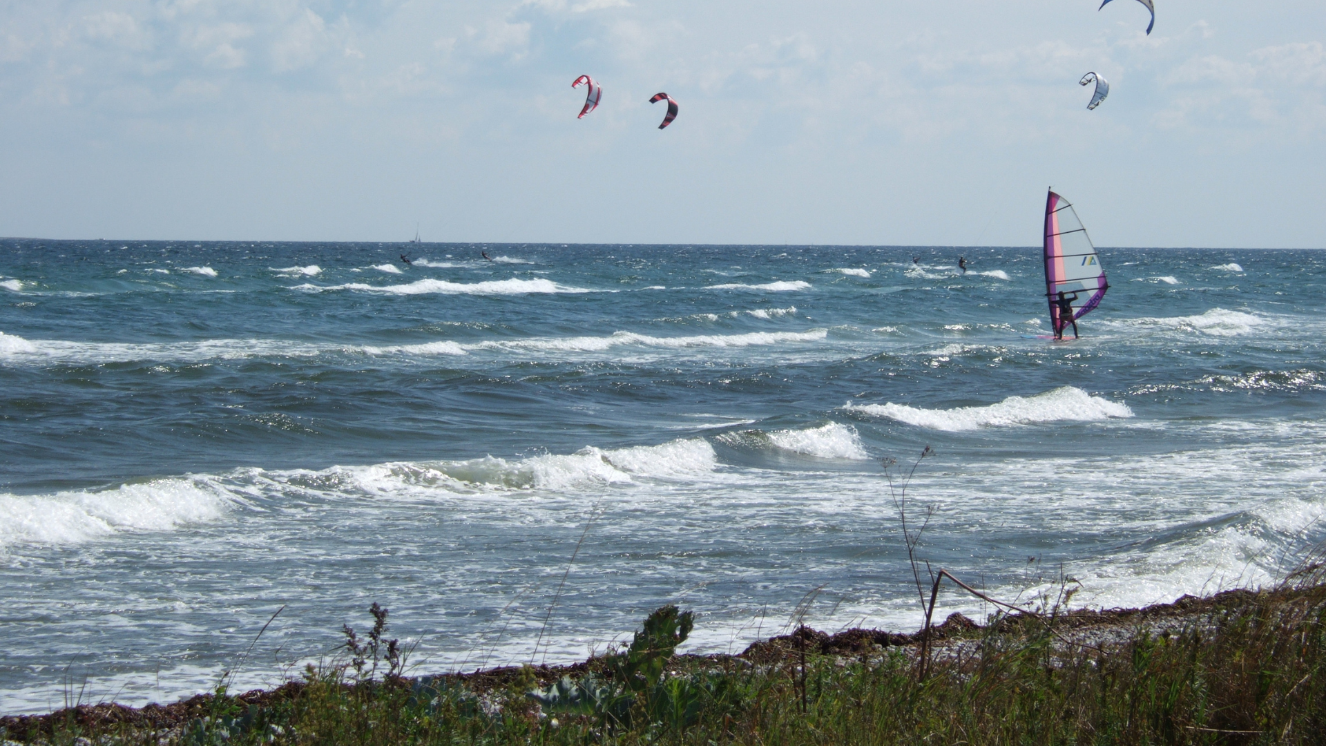 Windsurfing at Fynshoved