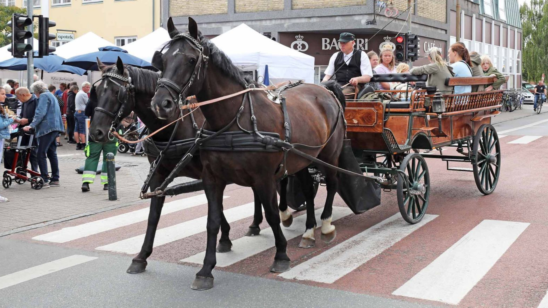 Kirsebærfestival 2023