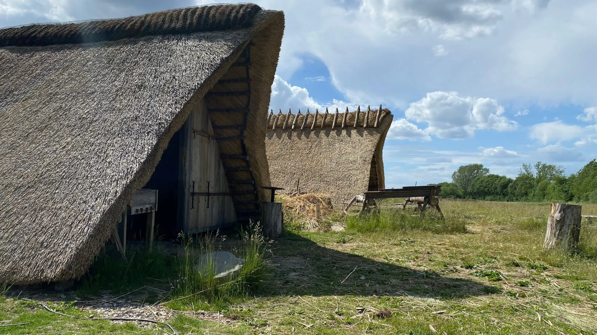 The viking kings farm