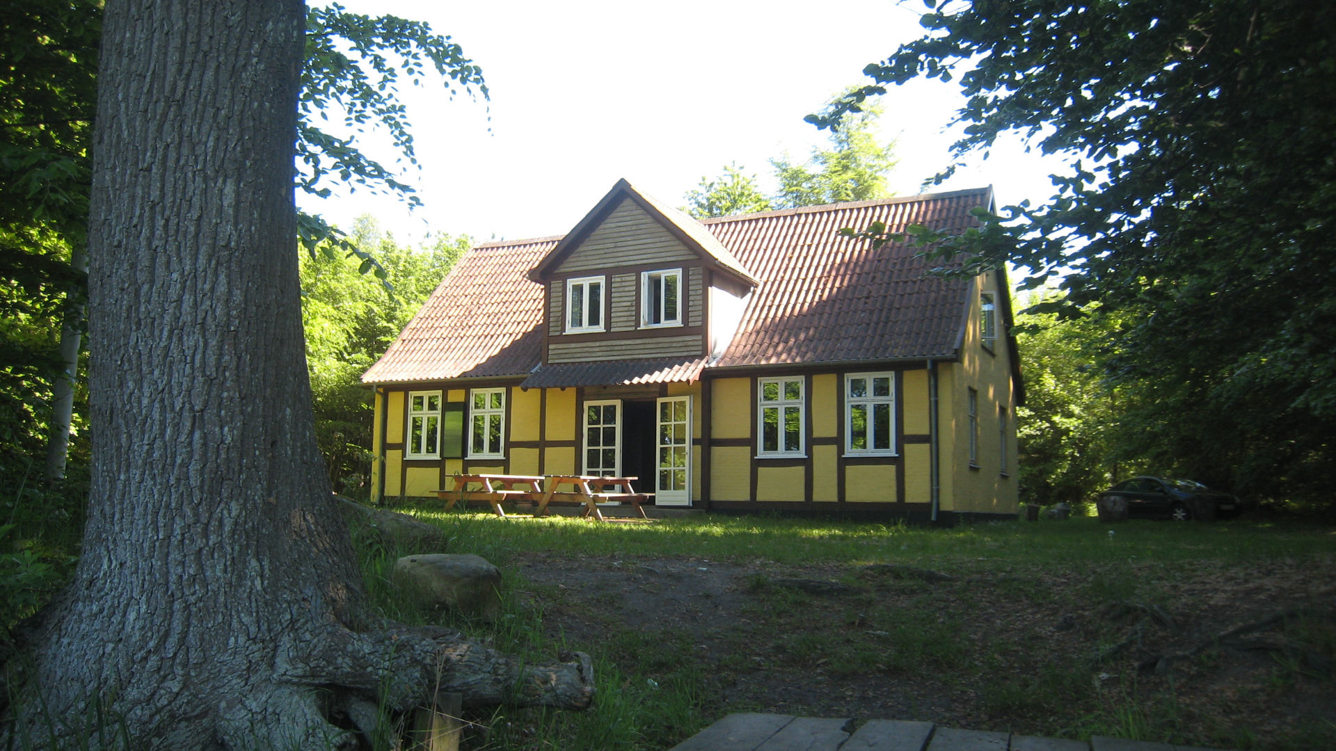 Skovlyst set fra bagsiden