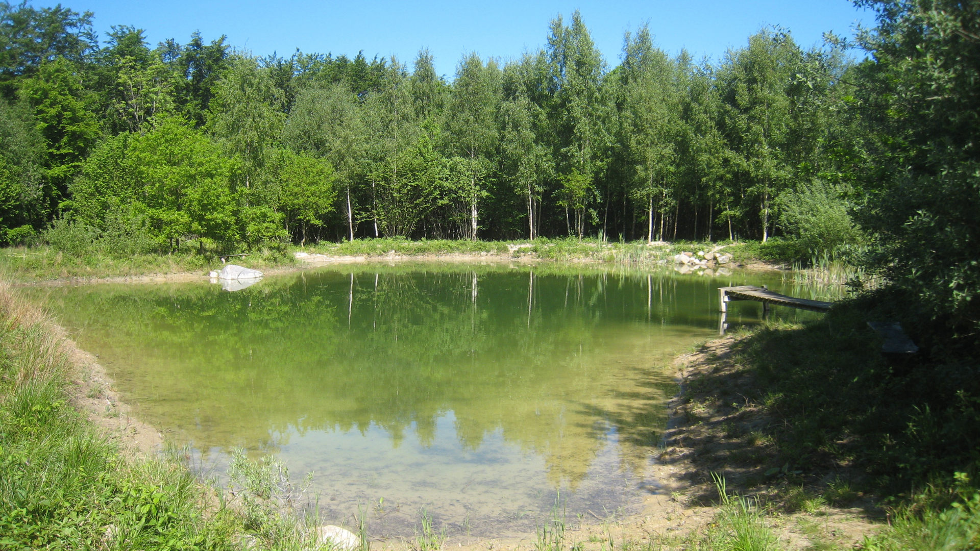 Skovsøen i Geelsskov