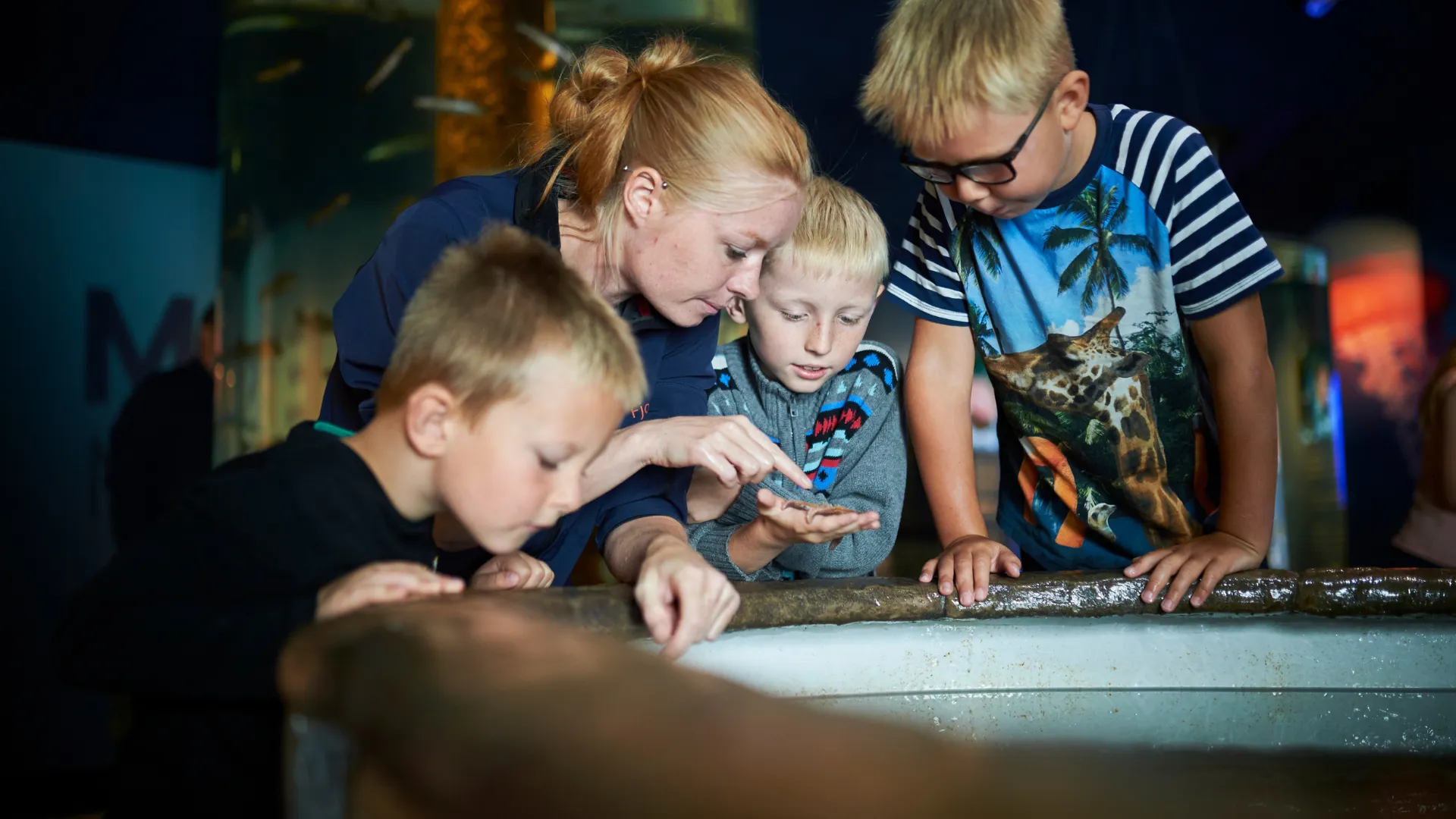 Gruppe der kigger i vand