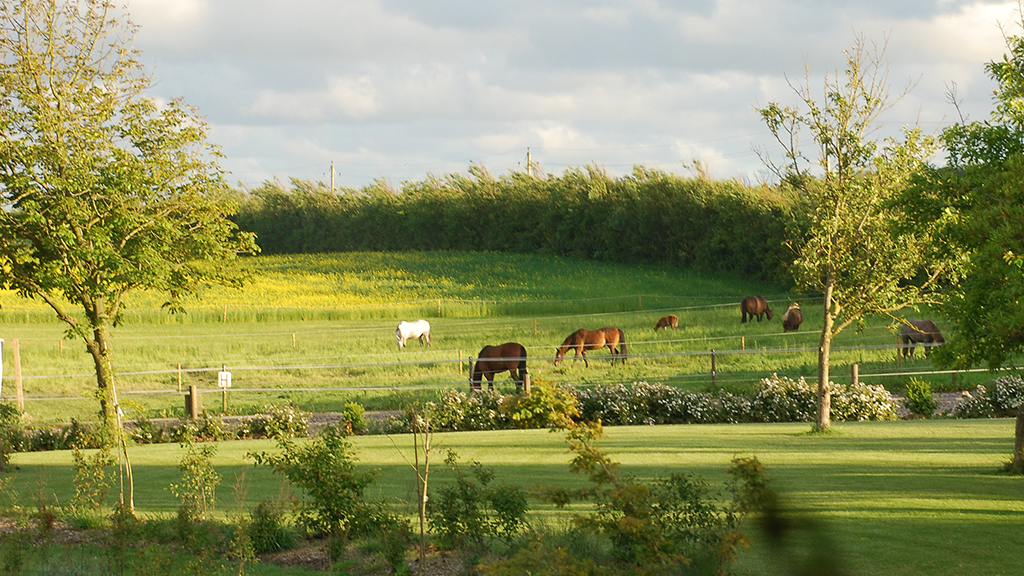 Houdam ökologisch Bauernhofferien