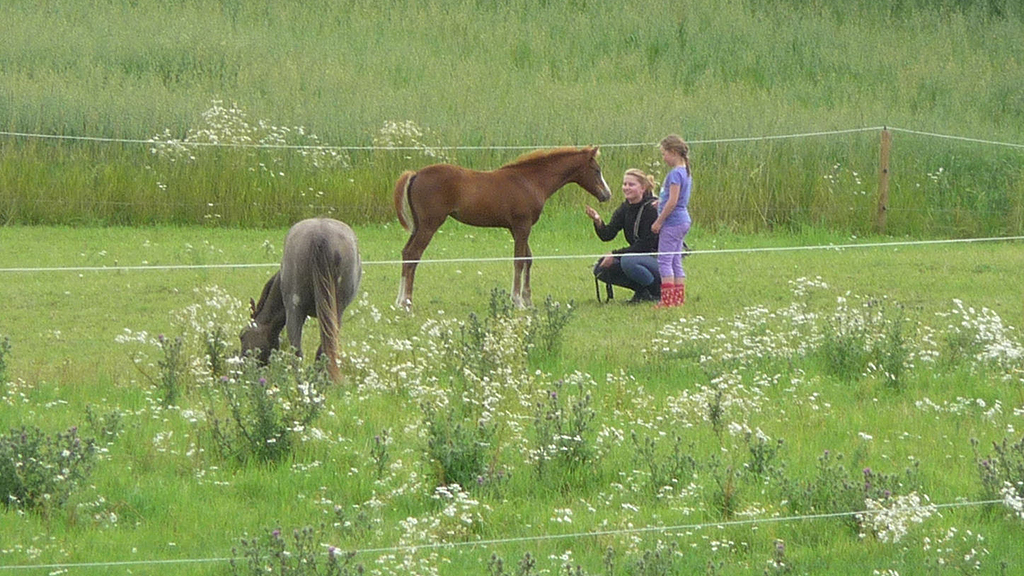 Houdam ökologisch Bauernhofferien