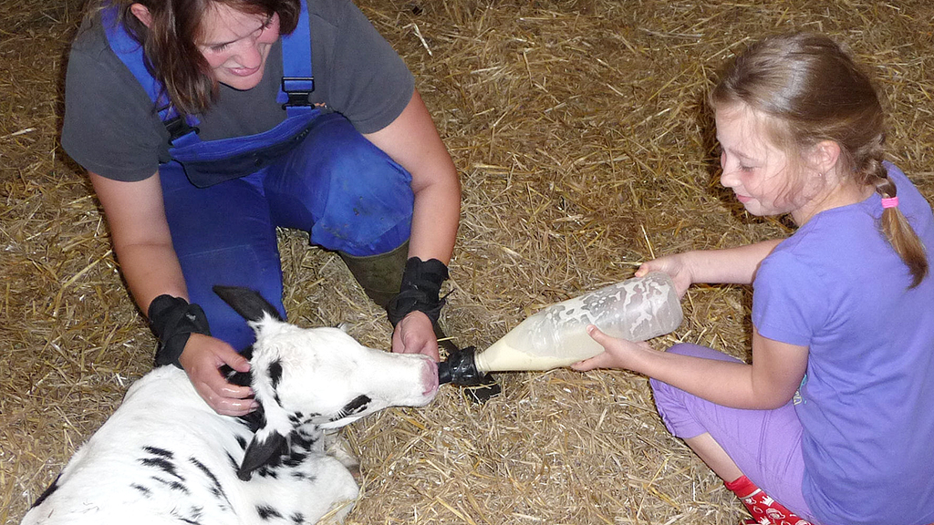 Houdam ökologisch Bauernhofferien