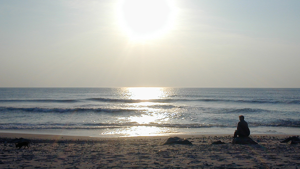 SJ Feriehusudlejning