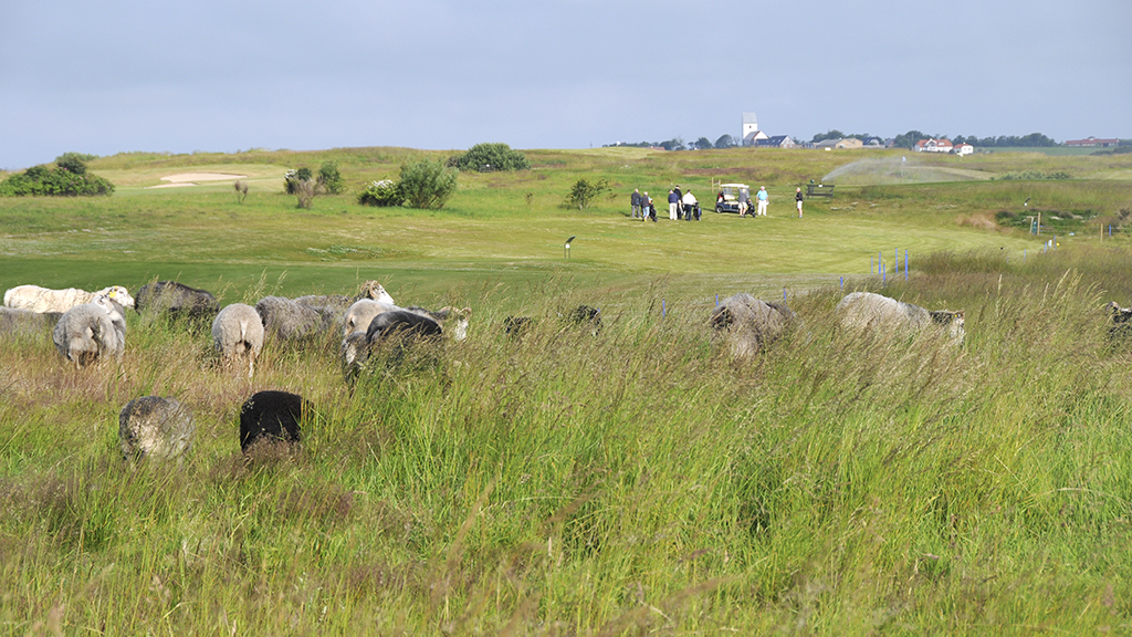Lemvig Golfklub - golf course with magnificent views of the Limfjord