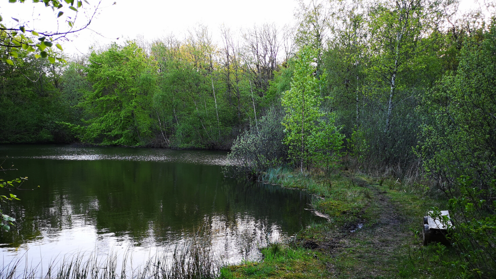 Hike - The Trail at Møborg Bakkeø