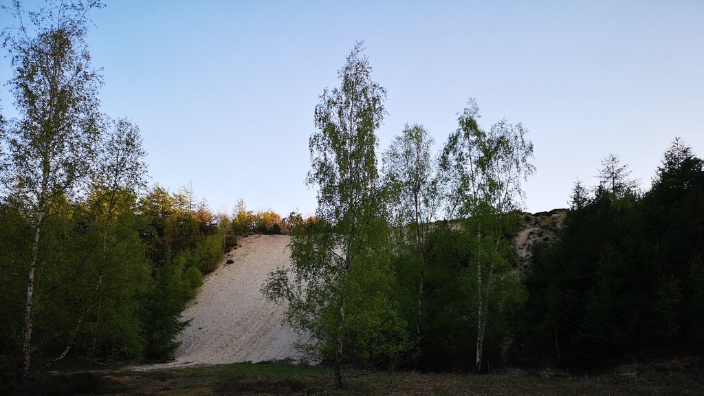 Hike - The Trail at Møborg Bakkeø