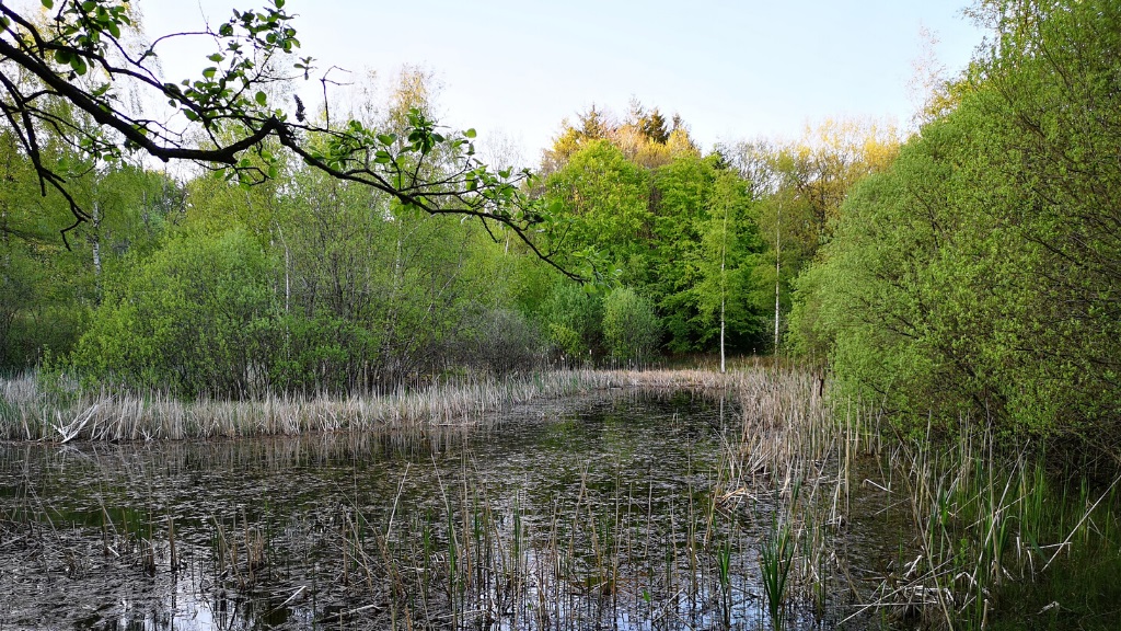 Hike - The Trail at Møborg Bakkeø