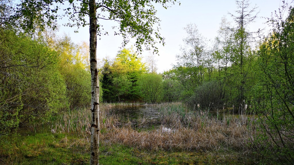 Hike - The Trail at Møborg Bakkeø