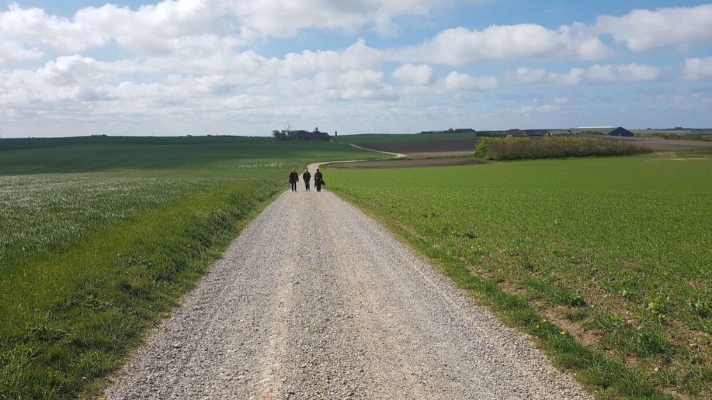 The four churches at Fjaltring