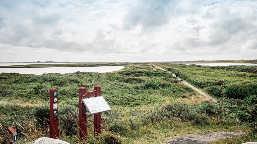 Thyborøn Camping, Hotel and Cabins