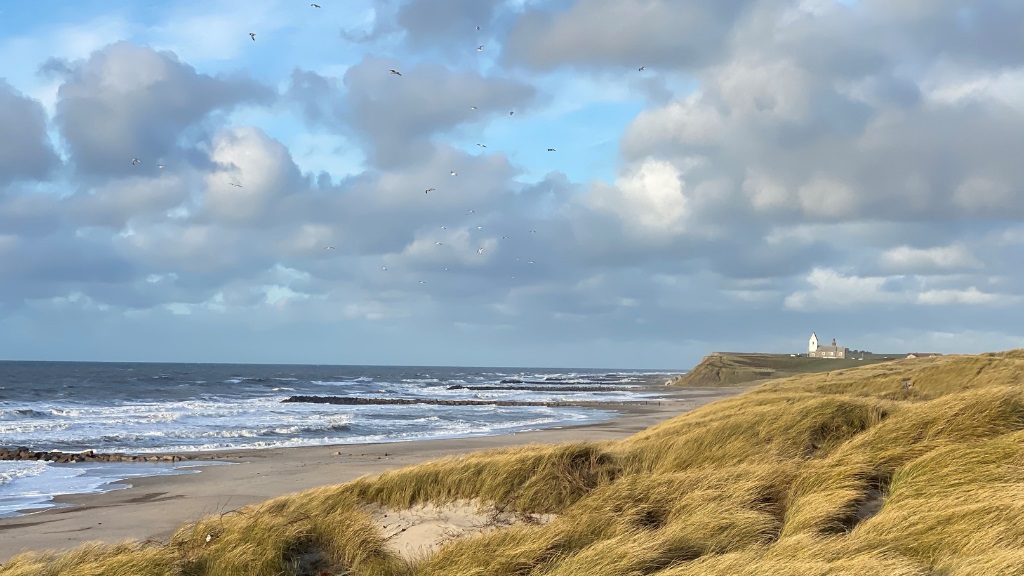 Sol og Strand Vejlby Klit 