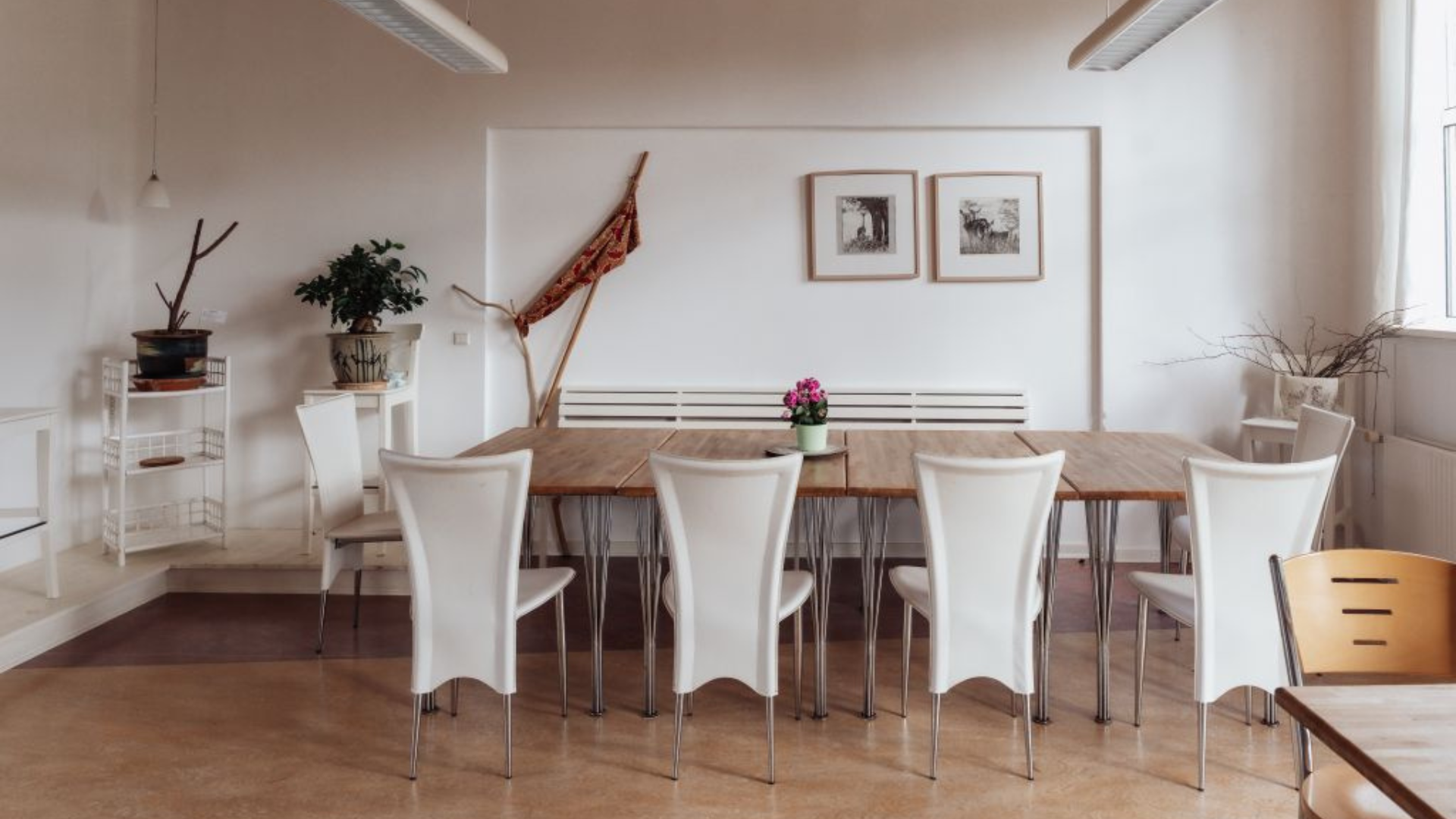 Hollys Seminarhus APS