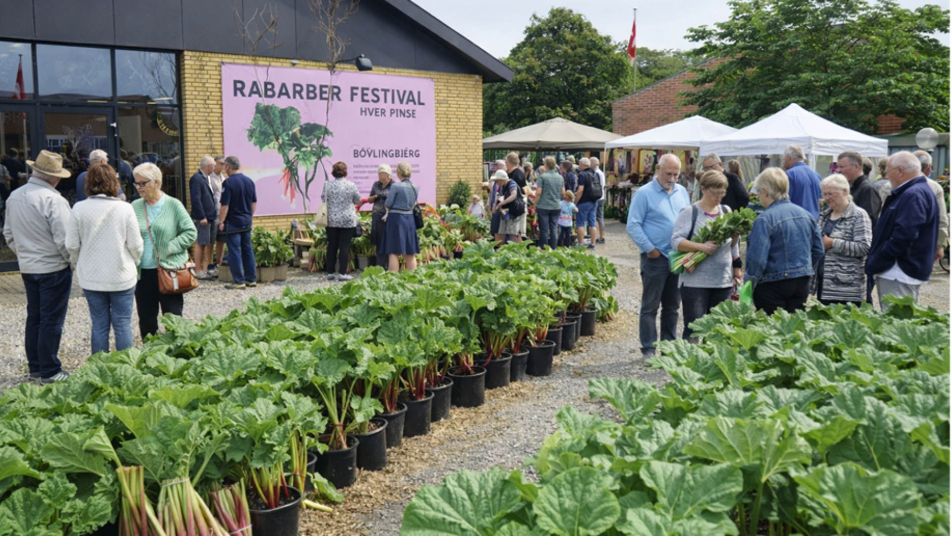 Rabarber Festival