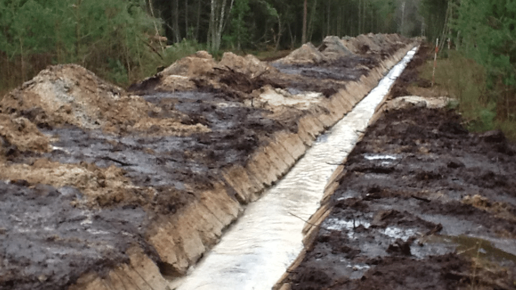 Læsø Byg & Entreprenør ApS