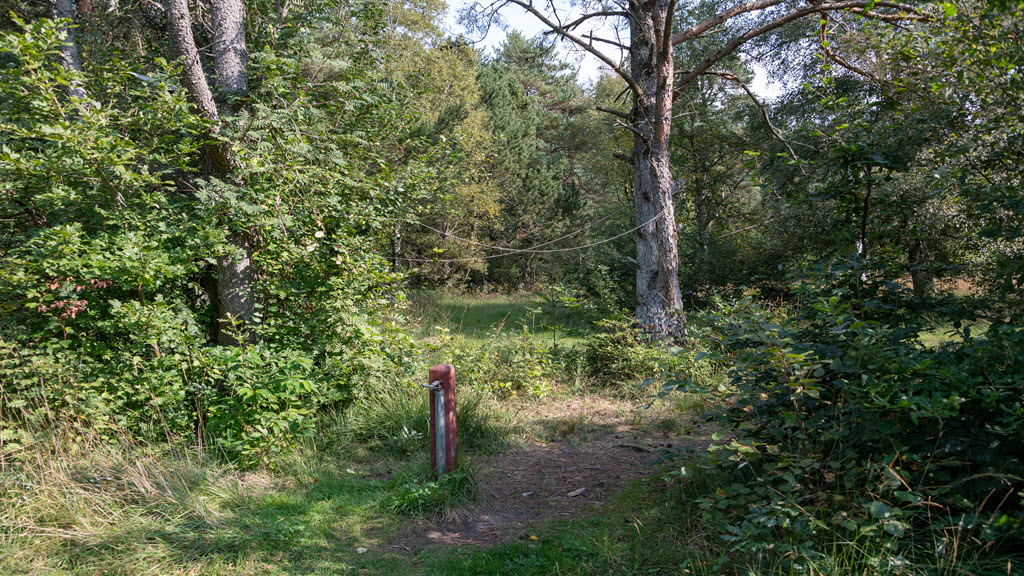 Birkelunden campsite