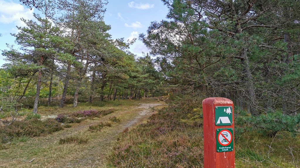 Tent site at Himmerigvejen
