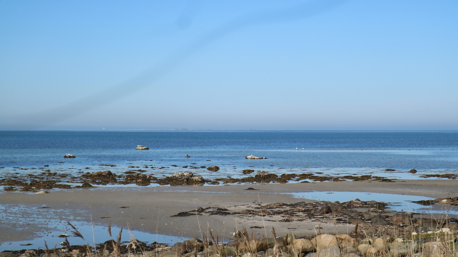 Vandrerute Læsø - Nordkysten mellem Vesterø og Østerby - 14 km med havudsigt og natur for alle pengene