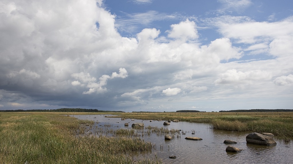 Hiking route Læsø - Around Hornfiskrøn on Rønnerne south of Læsø Saltsyderi, 12 km