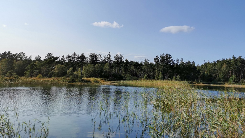 Hiking route Læsø - Vesterø-Holtemmen-Badesøen-Remmerne - 14 km with beach, heather, raised bog, forest and town