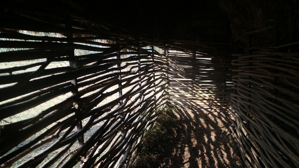 Hiking route Læsø - Østerby-Jegens-Tanghusruten-Hedvigs-Rhododendronstien - 10 km