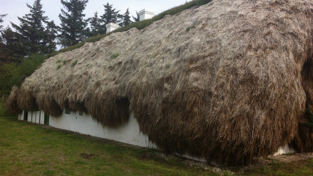 Hiking route Læsø - Østerby-Jegens-Tanghusruten-Hedvigs-Rhododendronstien - 10 km