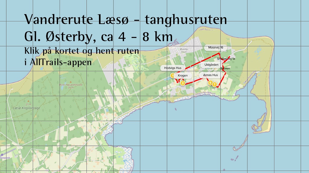 Hiking route Læsø - Tanghusruten Gl. Østerby, about 4 - 8 km
