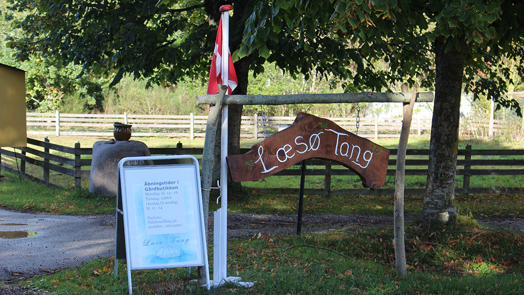 Læsø Tang - Tofteladen