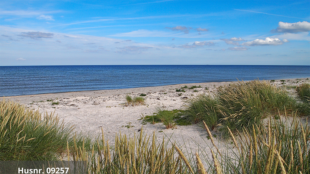 DanCenter Sommerhusudlejning Læsø