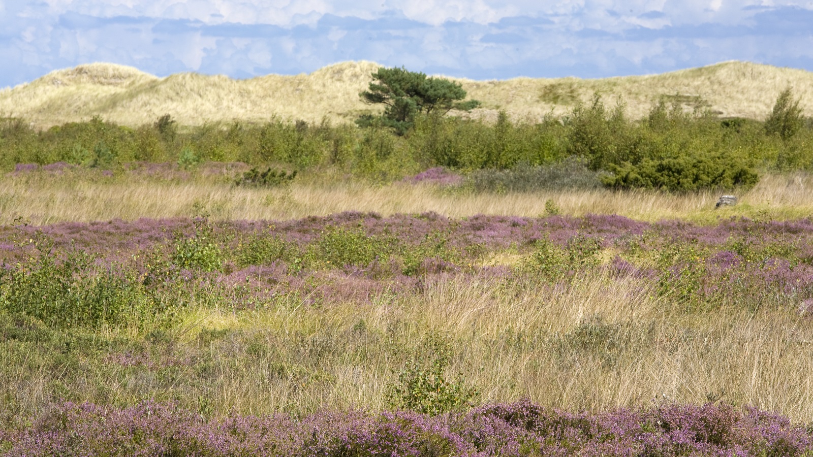 Ø-CAMINO Læsø - Etape 2 - 18 km - Østerby - Bløden Hale - Østerby