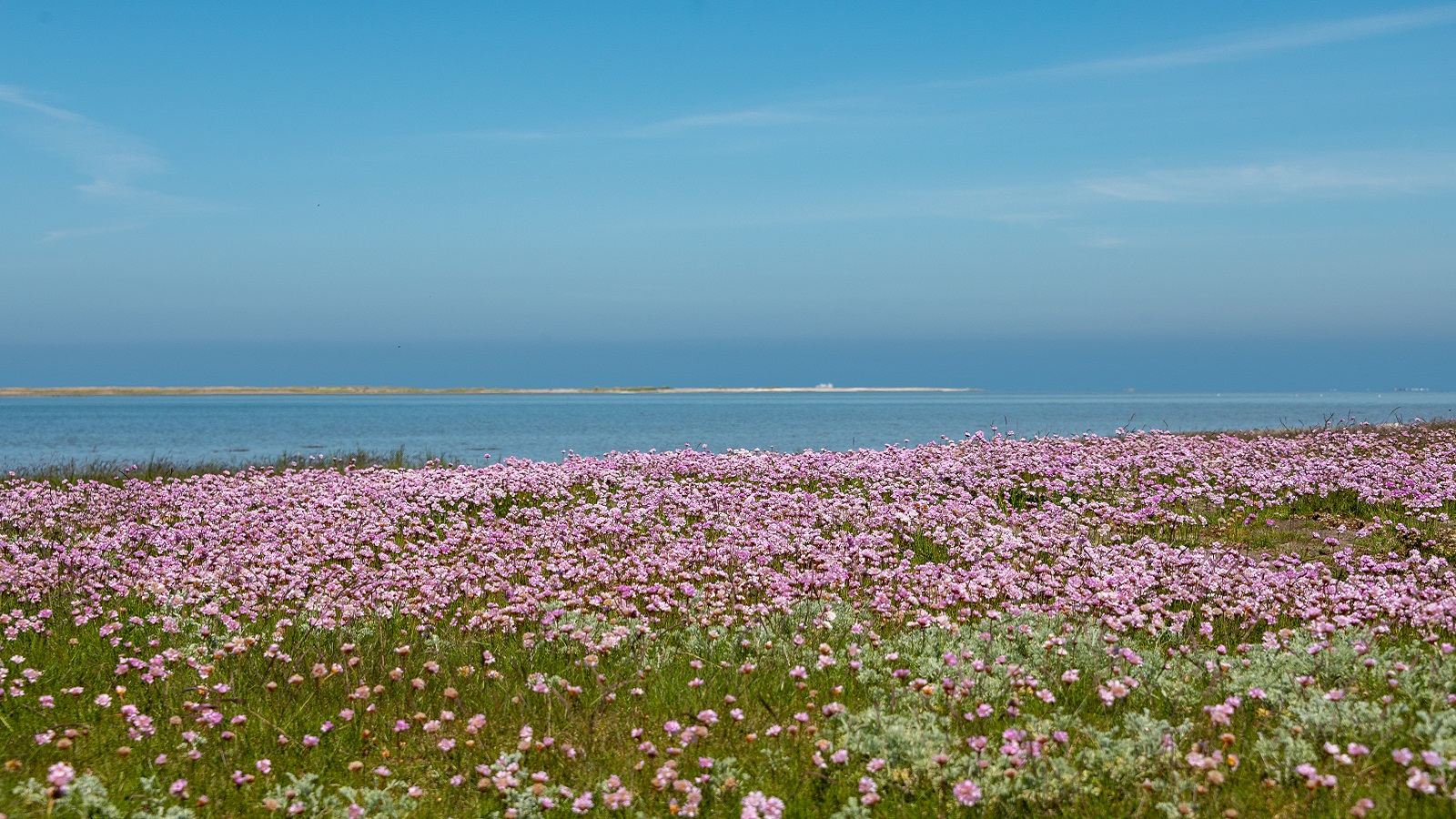 Ø-CAMINO Læsø - Etape 4 - 15 km - Byrum - Sdr. Nyland - Stokken - Vesterø